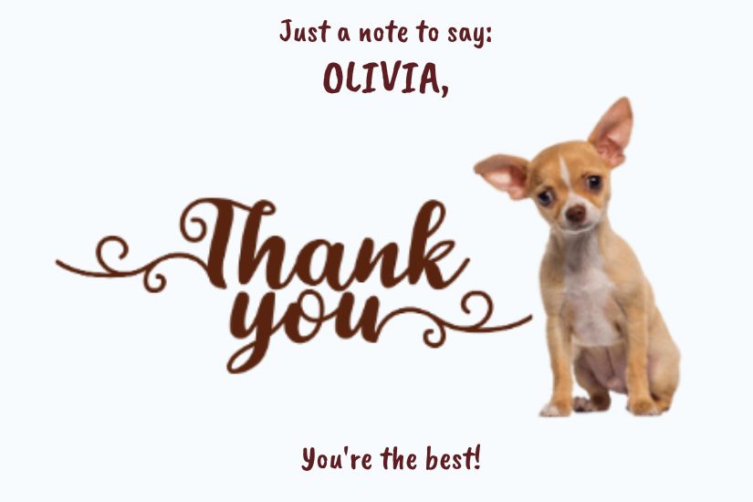 Group Card Design example for various occasions with Gift Collection